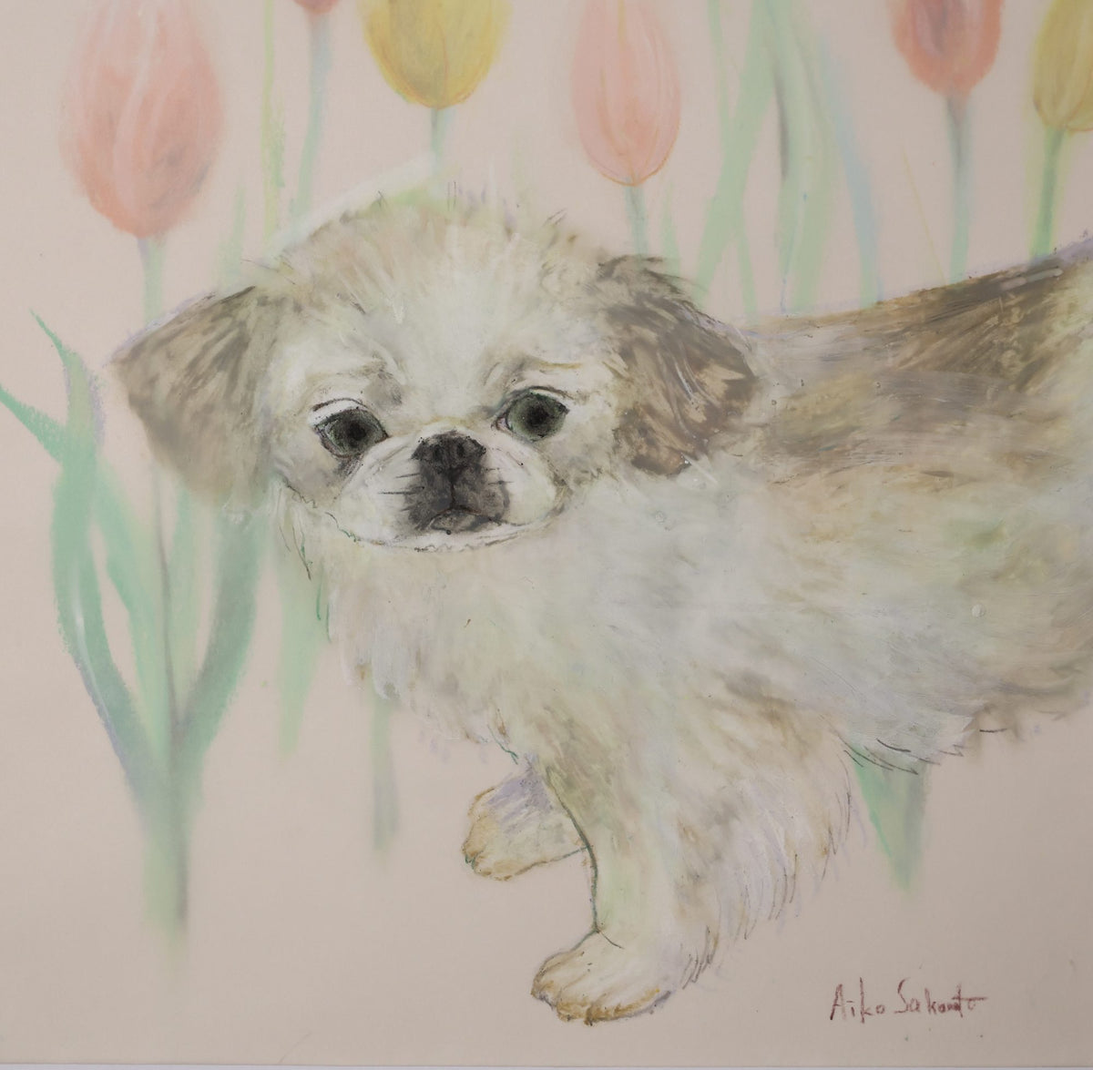 Aiko Sakamoto「やさしい目をした犬」